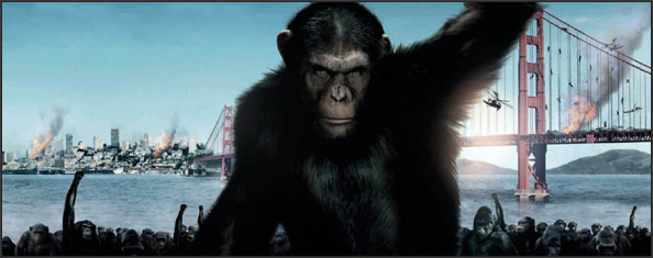 rise-apes