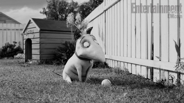 frankenweenie-animated-movie-image-02-600x337