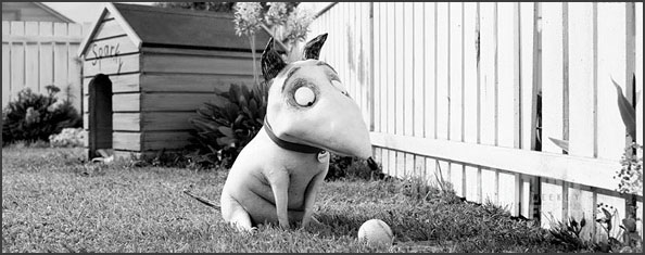 frankenweenie