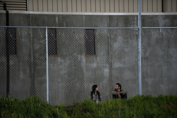 Walking Dead - (4)