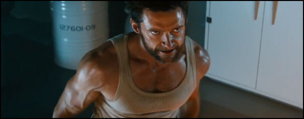 wolverine