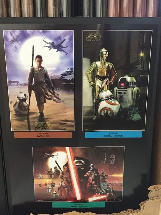 11988365_10153218696907153_3879812296802961241_n